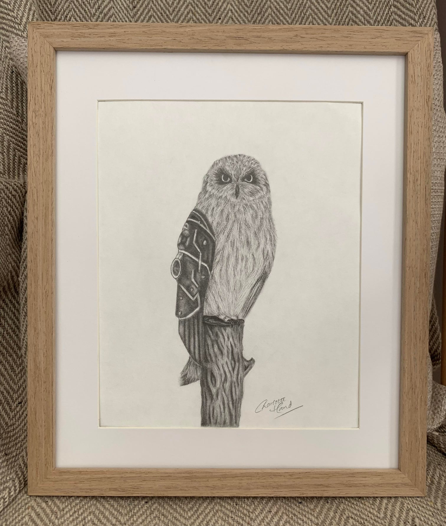 Barn Owl graphite drawing