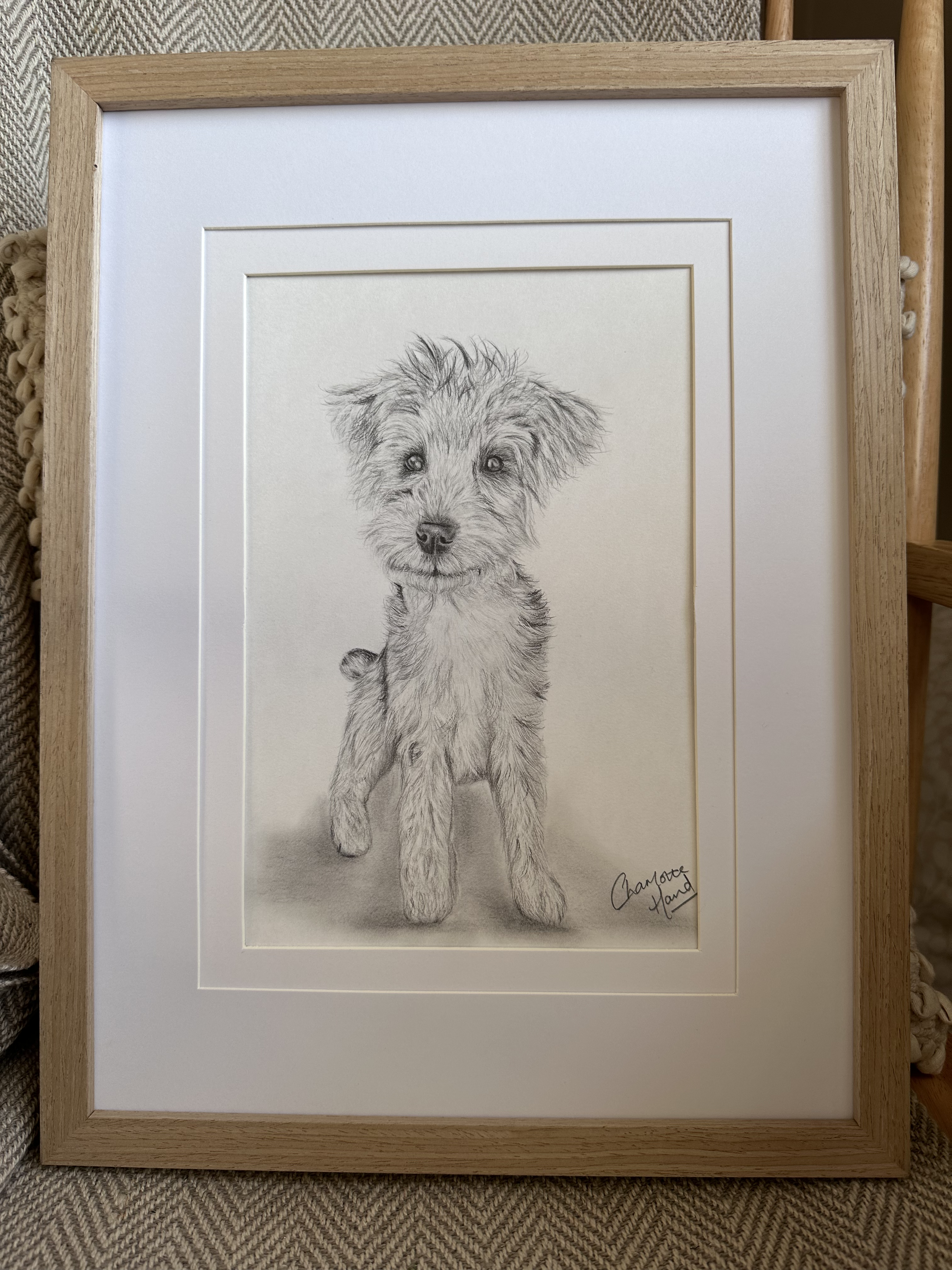 Dog graphite drawing
