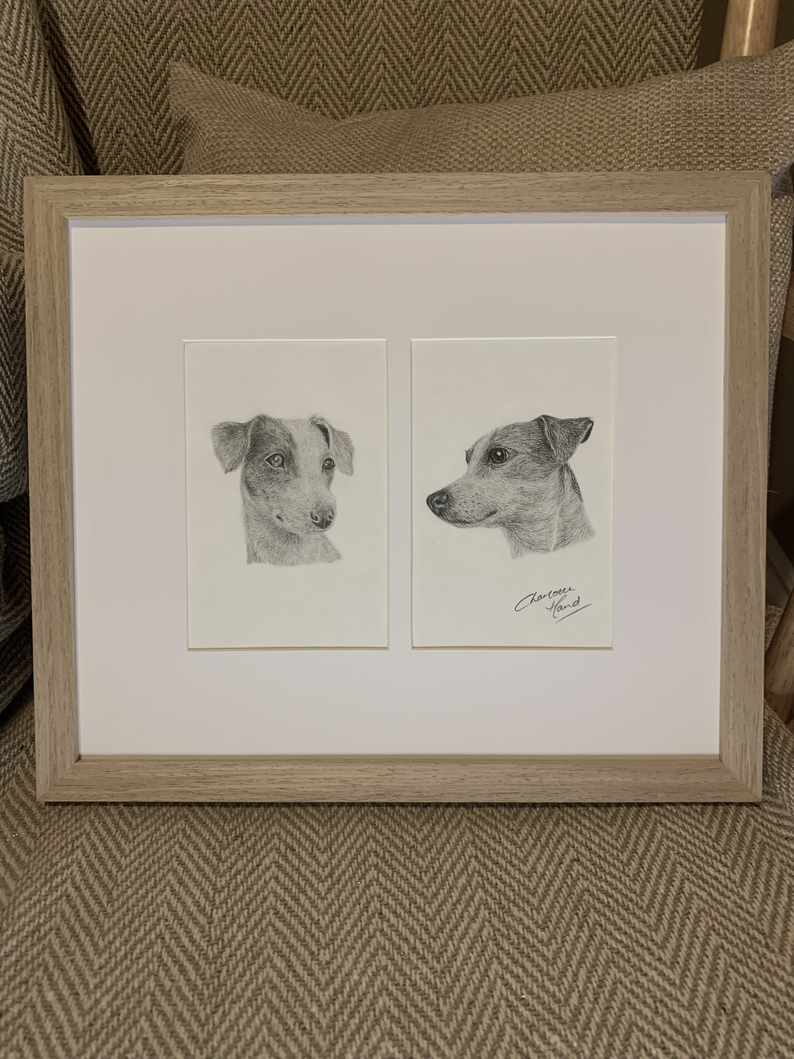 Dog graphite drawing