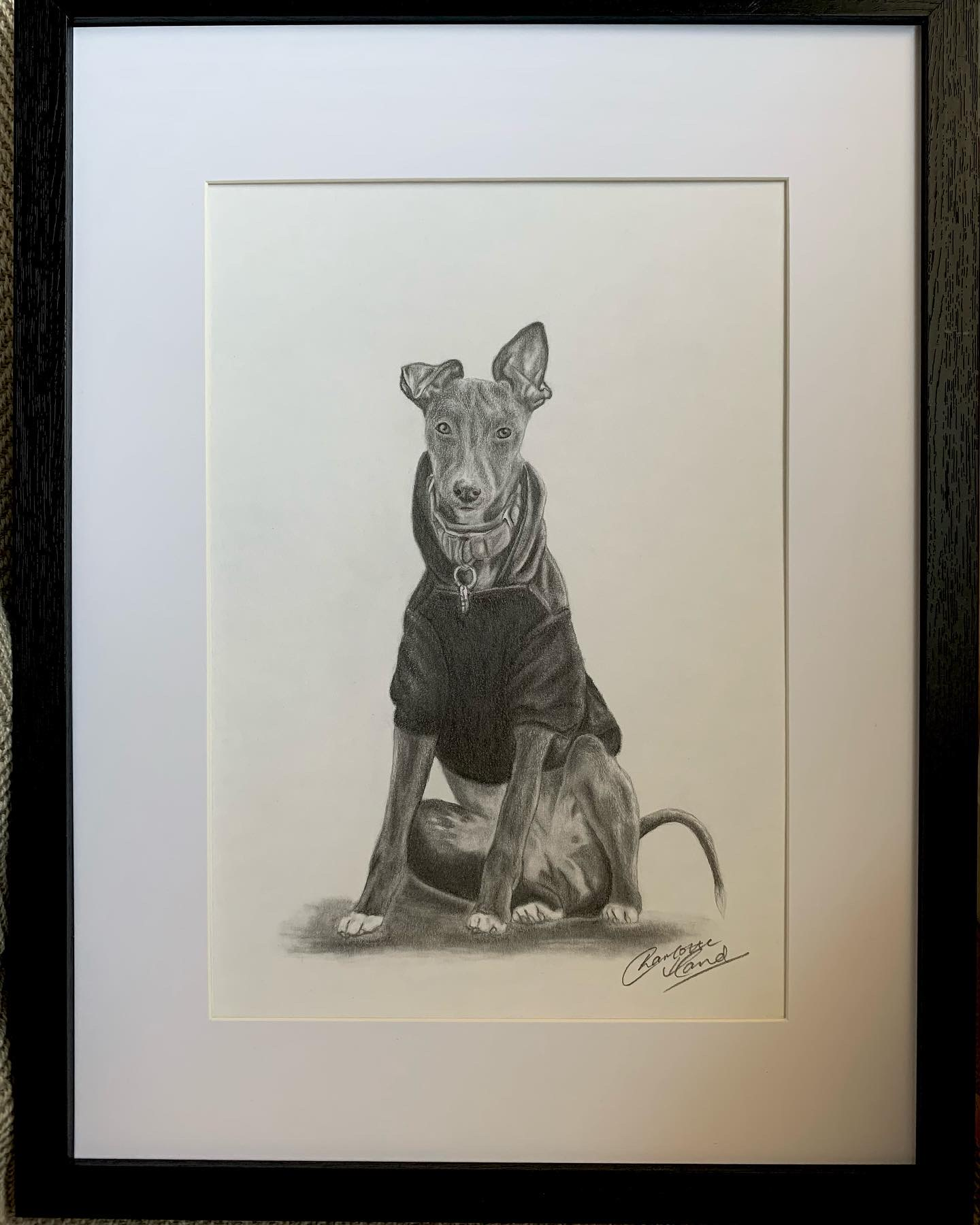Dog graphite drawing