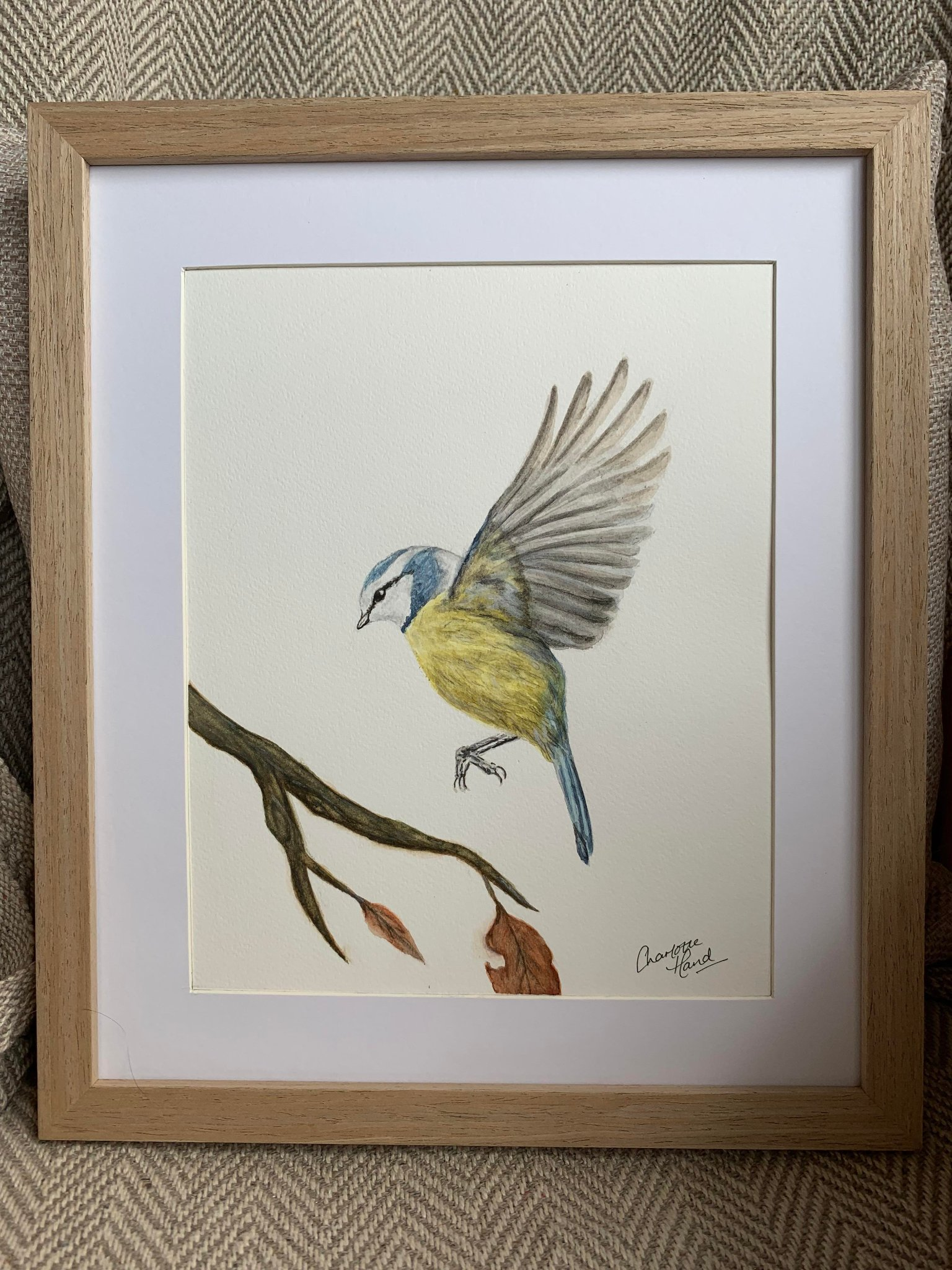 Bird watercolour painting
