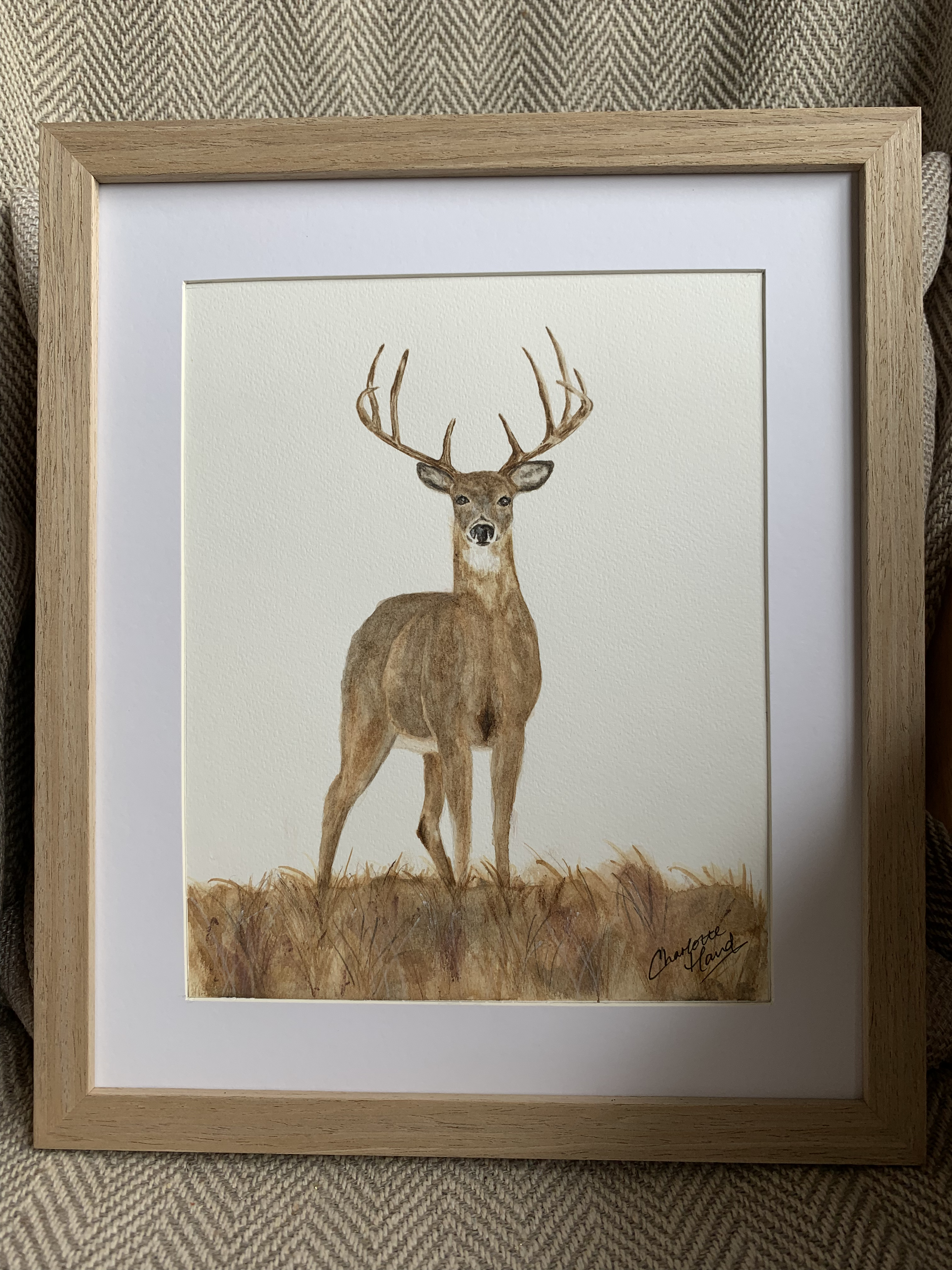 Stag watercolour painting